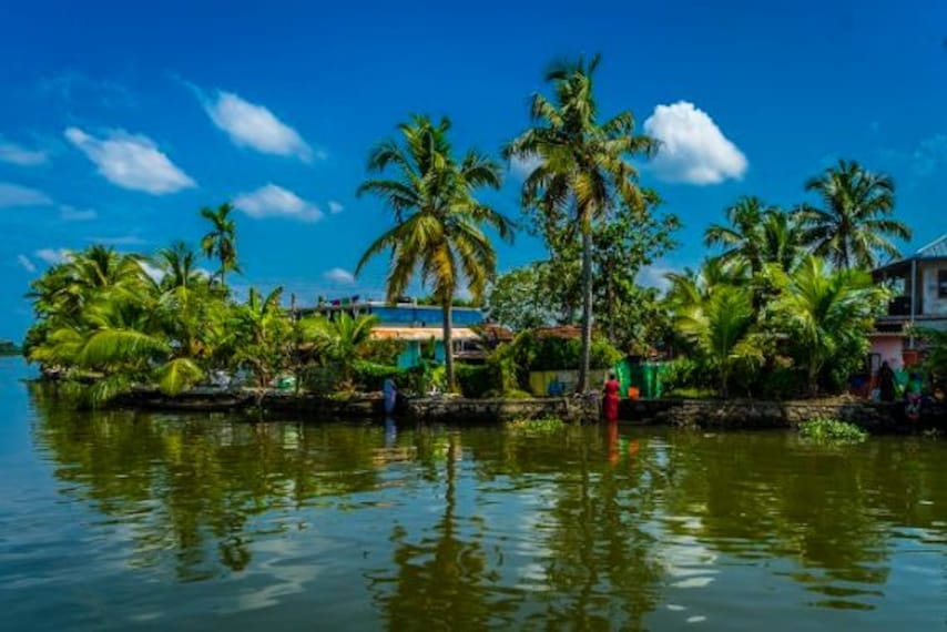 Kumarakom Bird Sanctuary-3